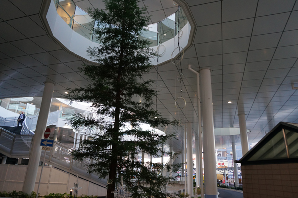 JR茨木駅東口の木でひかりの回廊準備