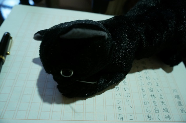 なりきり康成の黒猫DSC02688