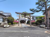 情報はココ