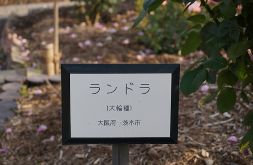 茨木のバラ・ランド看板