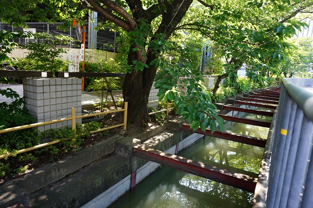 総持寺駅前の水路