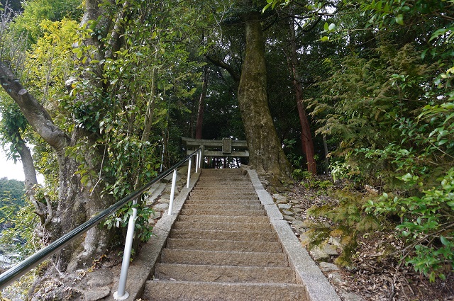 2見山の郷神社階段DSC05166