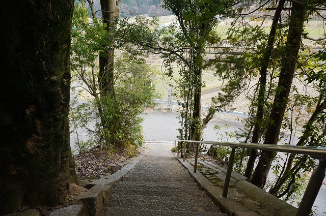 4見山の郷神社の階段見下ろすDSC05168