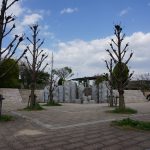 2017年4月桑田公園DSC05498