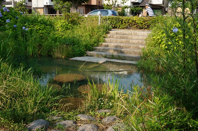 8桑田町から平田町への水路のところDSC07258