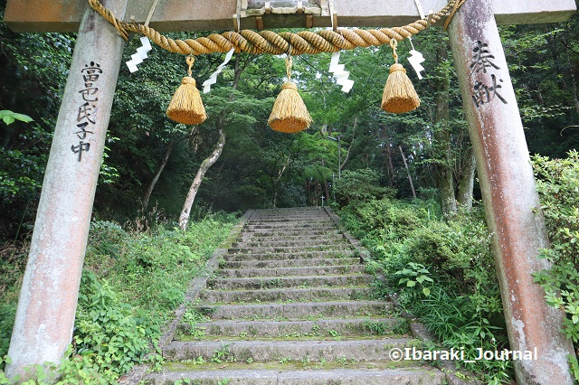 0711春日神社の階段１IMG_2186