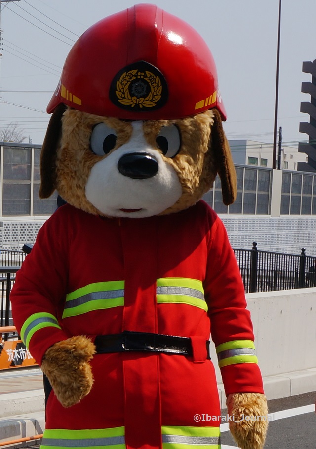 2018年茨木市消防の犬２DSC02738