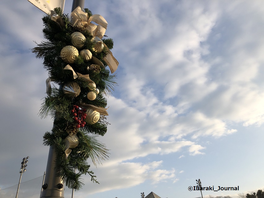 1225イバラボ芝生広場でクリスマス飾り20211225082702