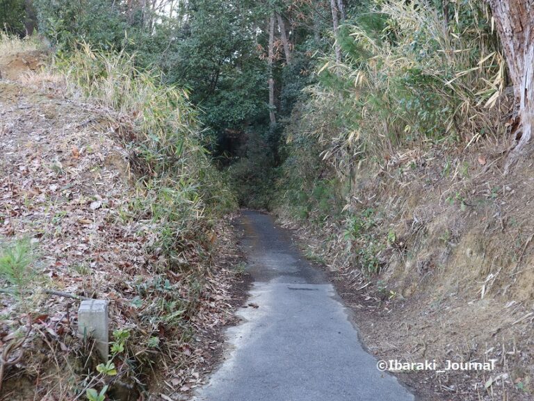 茨木市彩都あかね公園へ！ぼぉっとしたりロケやプロポーズにも良さそう 茨木ジャーナル（いばジャル）
