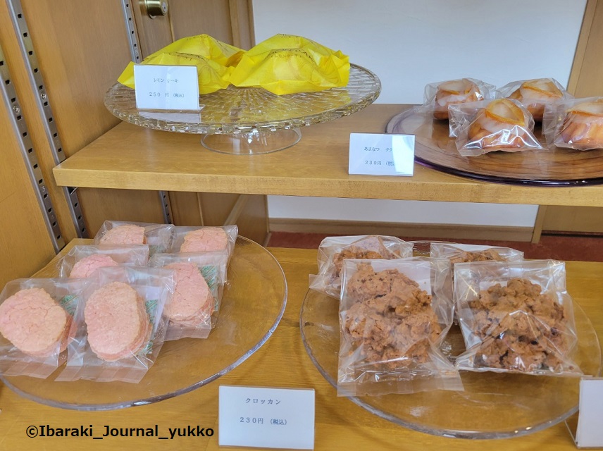 13sakuraiの店内の焼き菓子20220605_111453[25385]