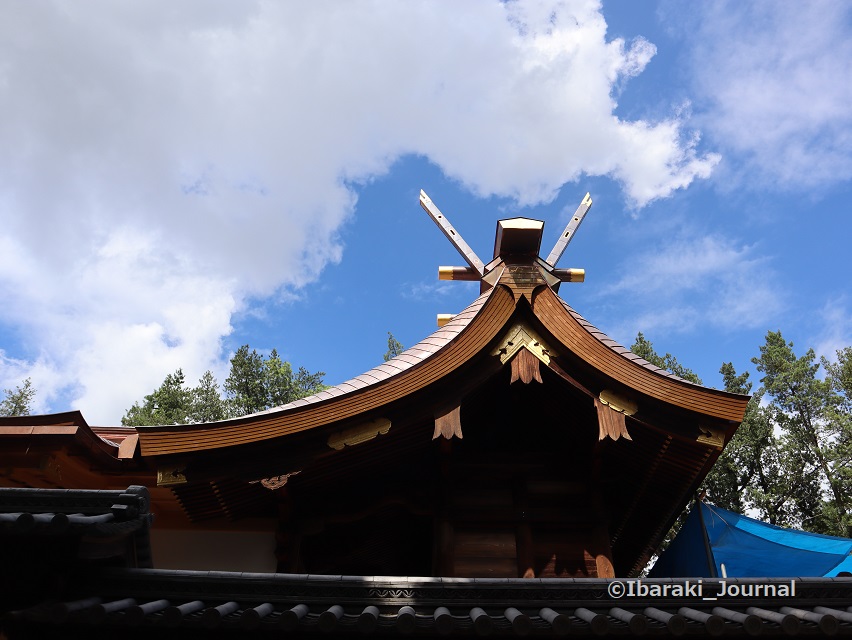 8月茨木神社の新しい本殿IMG_5166