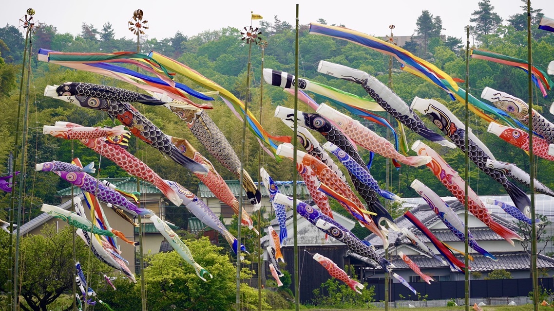 こいのぼりの風景20250428094058
