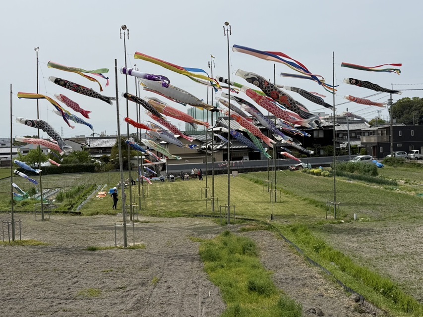 こいのぼりの風景20250428093944