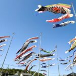 大空にこいのぼり20250428094041