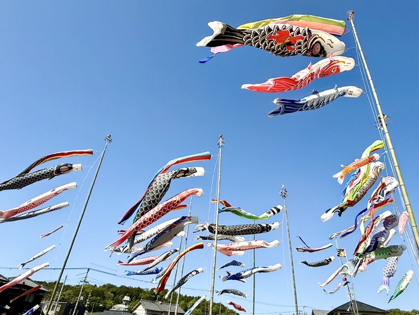 大空にこいのぼり20250428094041