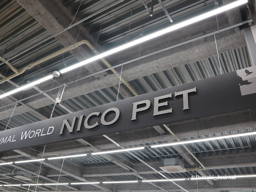34-0520ビバホームNICOペットIMG_9396