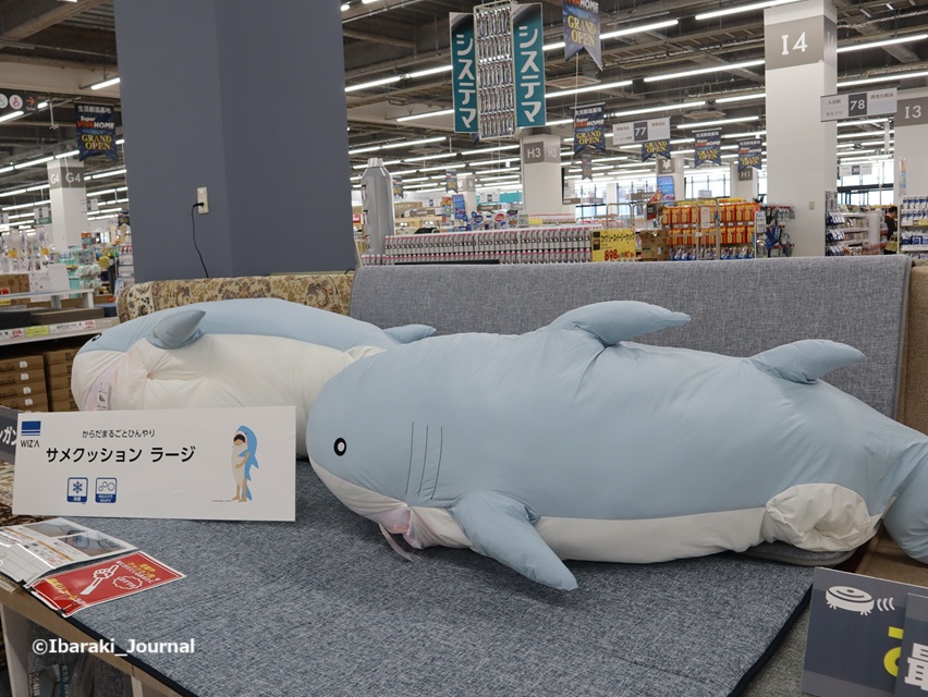 16-おすすめビバホームサメクッションIMG_9449