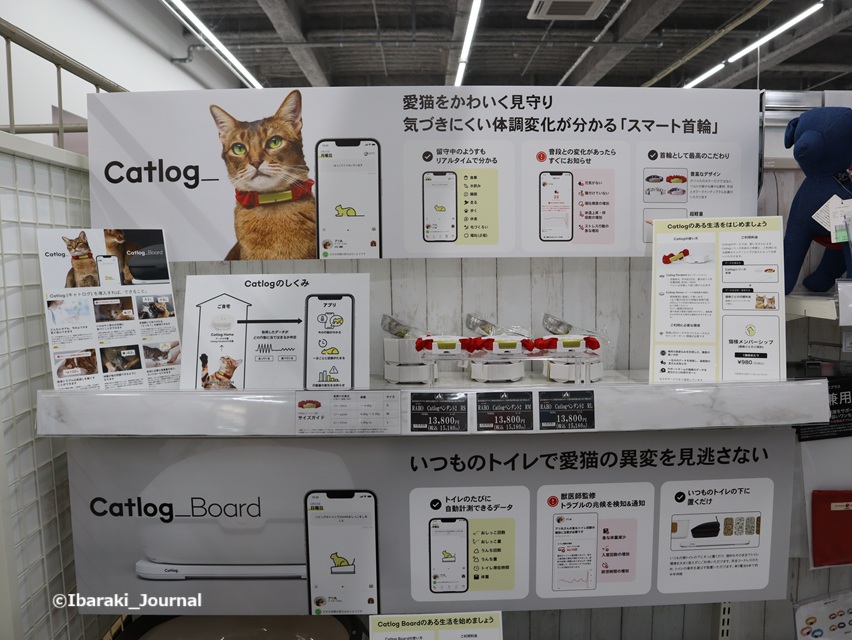 41-0520ビバホーム猫のスマート首輪IMG_9409