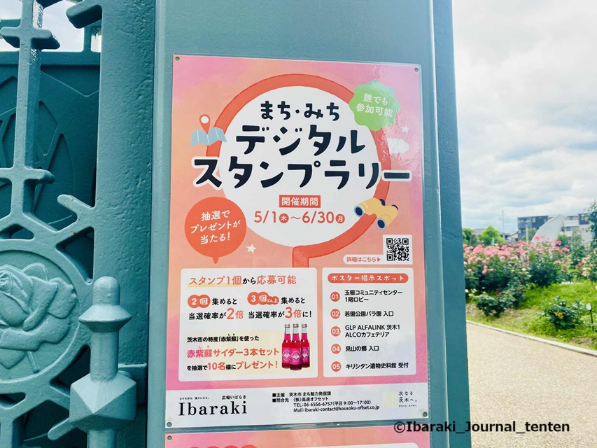 2025年5月若園公園バラ園で184b526c-60aa-4d85-ae2c-4d09e064397e