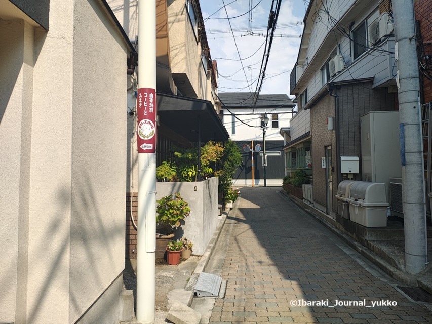 0824ゴリラーズ珈琲への道IMG_20250824_144224272_HDR