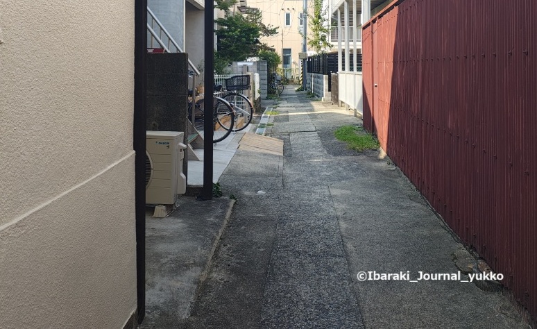 0824ゴリラーズ珈琲前の道IMG_20250824_144312041_HDR