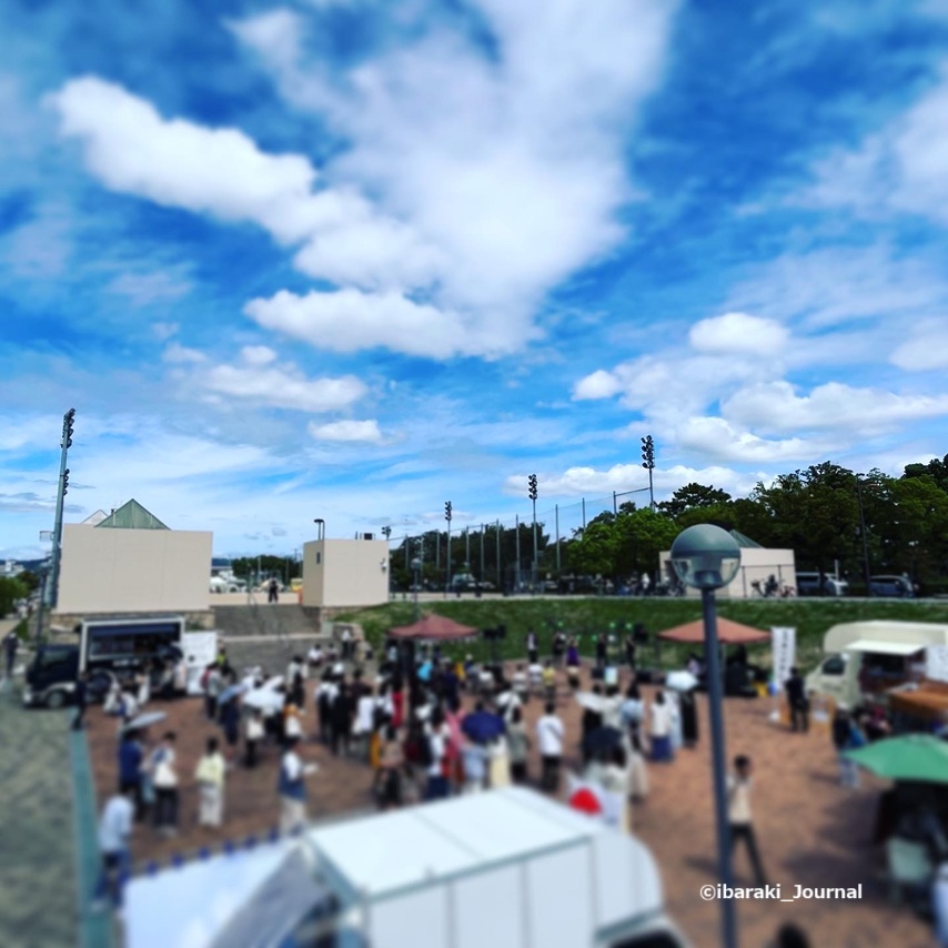 2023年9月の芝生フェスタ風景20251022011511.jpg