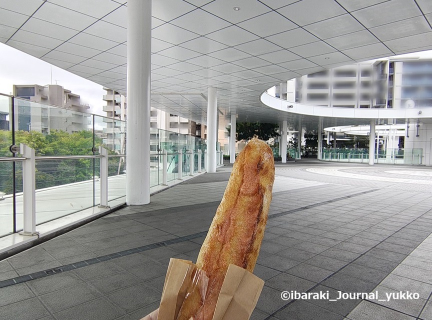 パン屋WAの明太子IMG_20251026_094258308_HDR