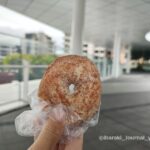 パン屋WAのドーナツIMG_20251026_094941908_HDR