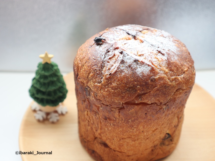 1207パネトーネとクリスマスツリーIMG_0270.jpg