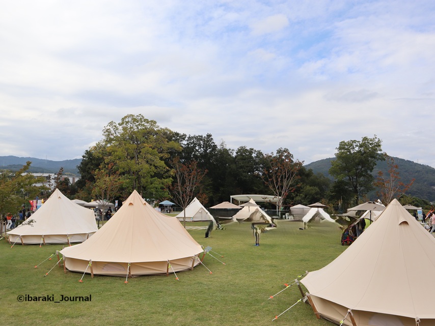 1025ダムフェス芝生広場IMG_0089