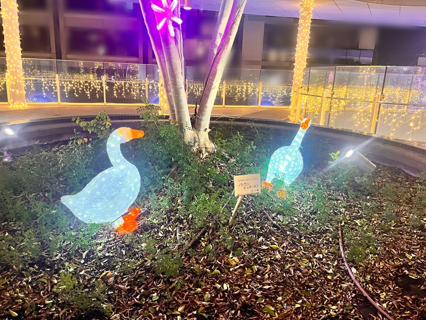 1129JR茨木スカイパレットのアヒルのオブジェ２IMG_6984
