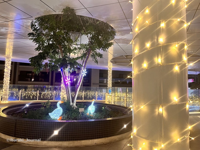 1129JR茨木スカイパレットのアヒルのオブジェIMG_6981