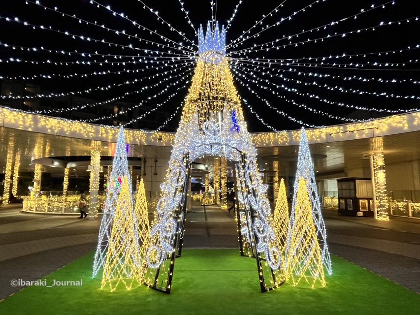 1129JR茨木イルミネーションツリーIMG_6968.jpg