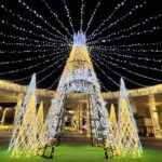 1129JR茨木スカイパレットのツリーイルミネーションIMG_6971