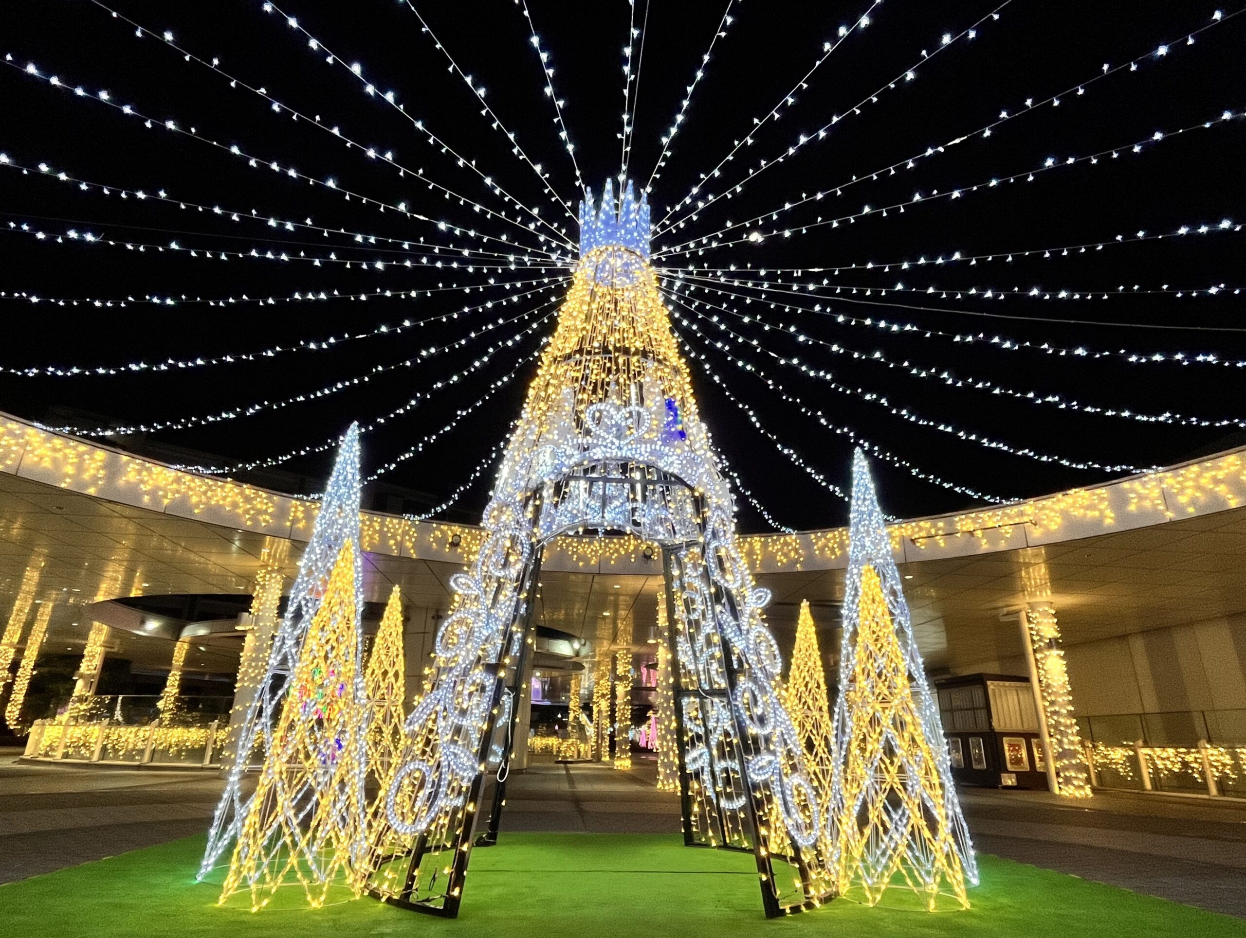 1129JR茨木スカイパレットのツリーイルミネーションIMG_6971