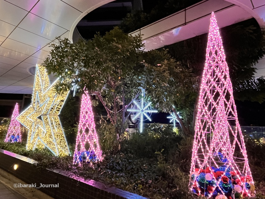 1129JR茨木スカイパレットのイルミ星とツリーIMG_6988