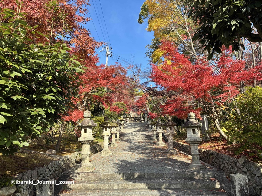 2025年11月真龍寺の階段のぼるIMG_7118.jpg