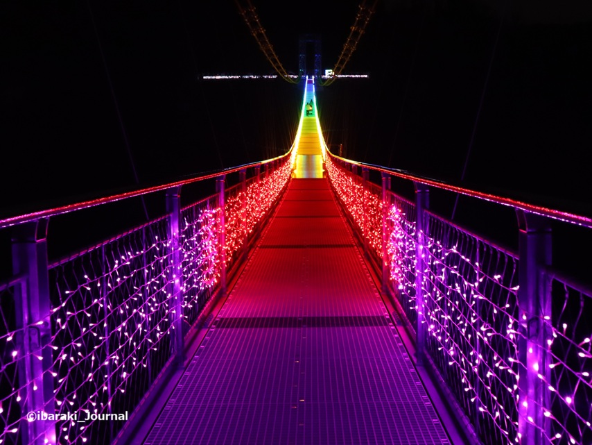 1224GODAブリッジイルミネーションむらさきIMG_0570