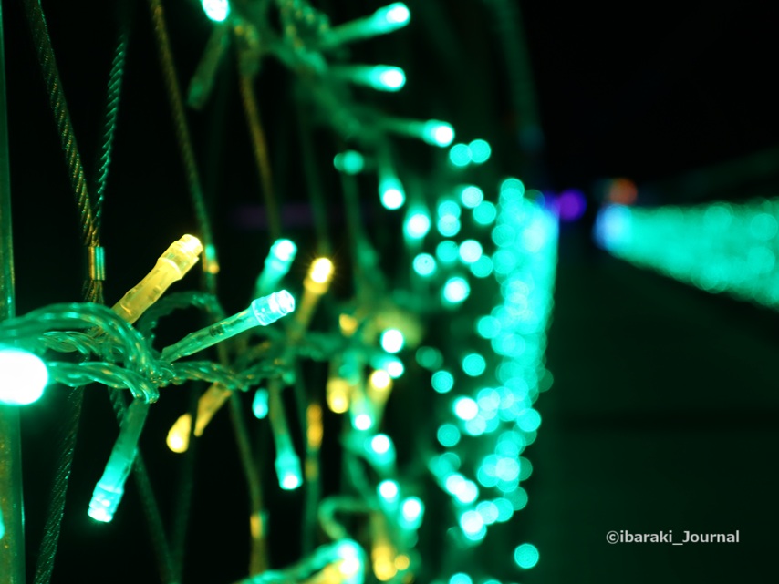 1224GODAブリッジ電球アップIMG_0574