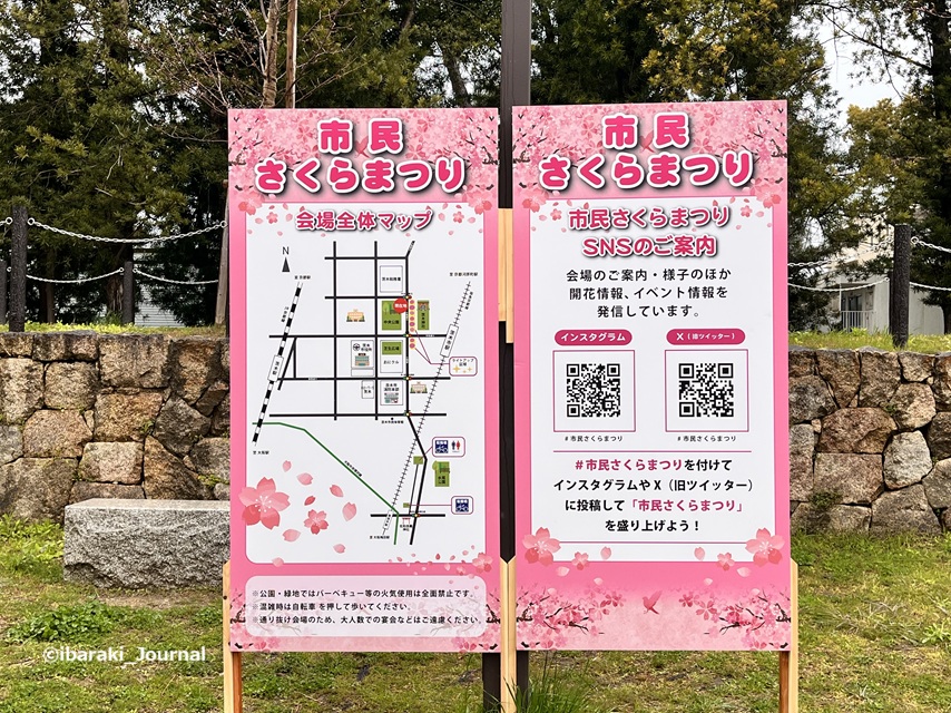 0325さくらまつり看板IMG_9528