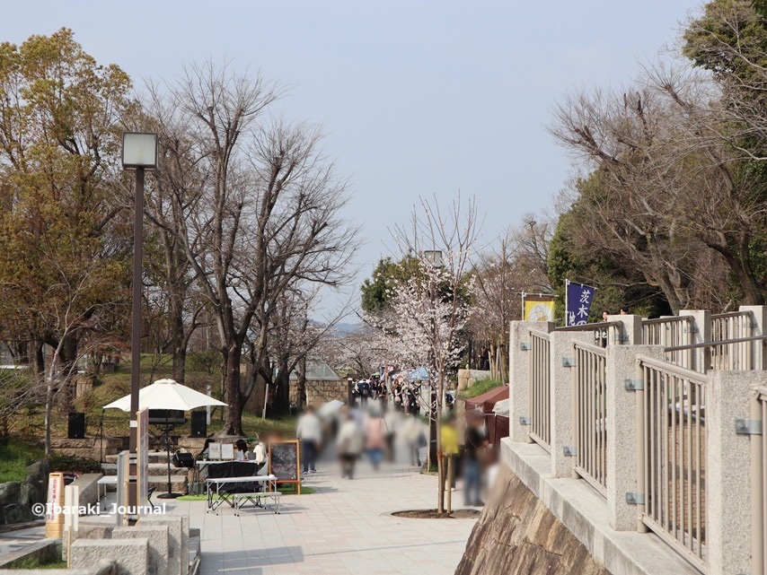 0328kk2さくらまつり風景IMG_1105.jpg
