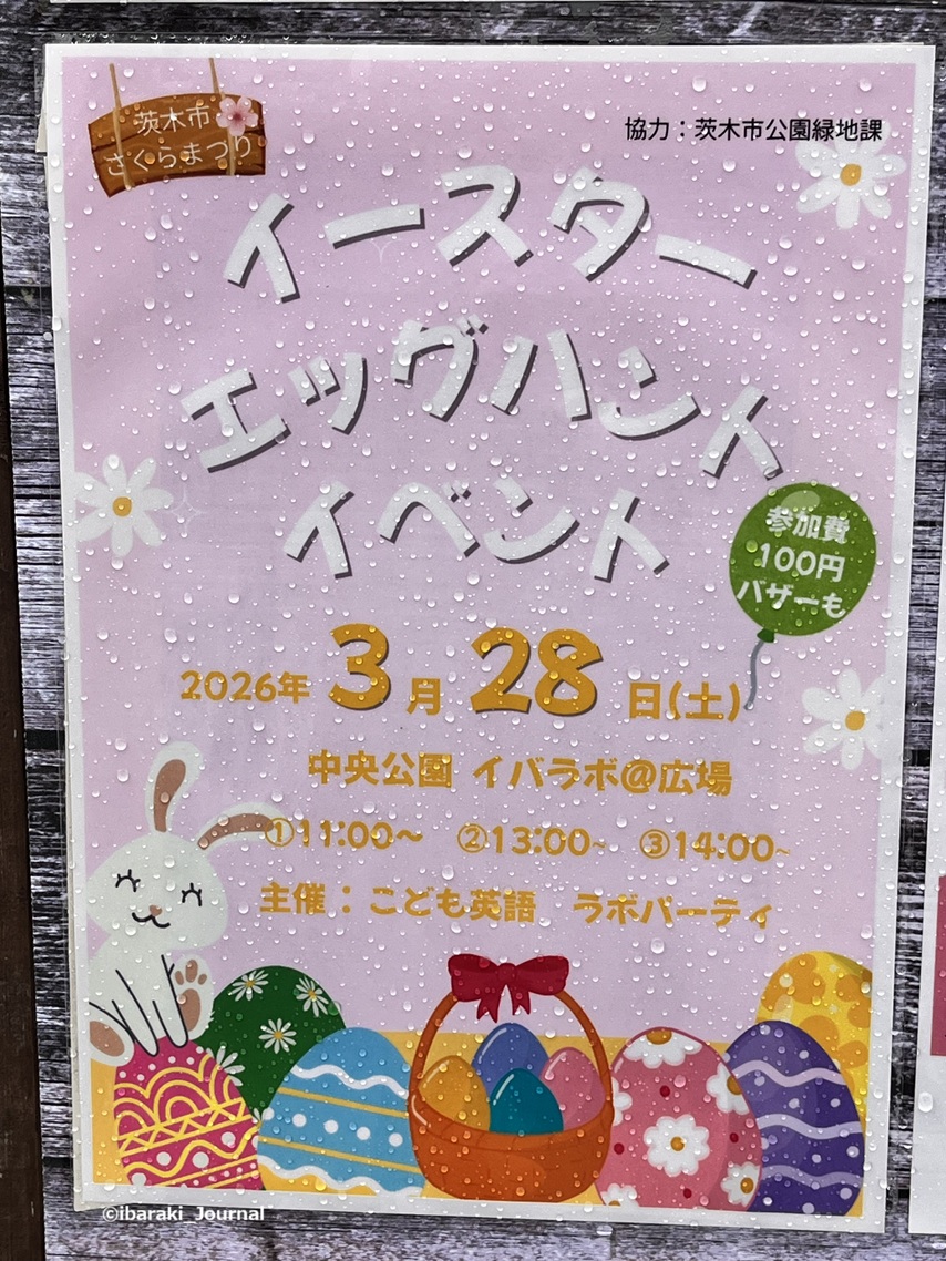0325さくらまつり期間イベントラボパーティ28日分IMG_9565