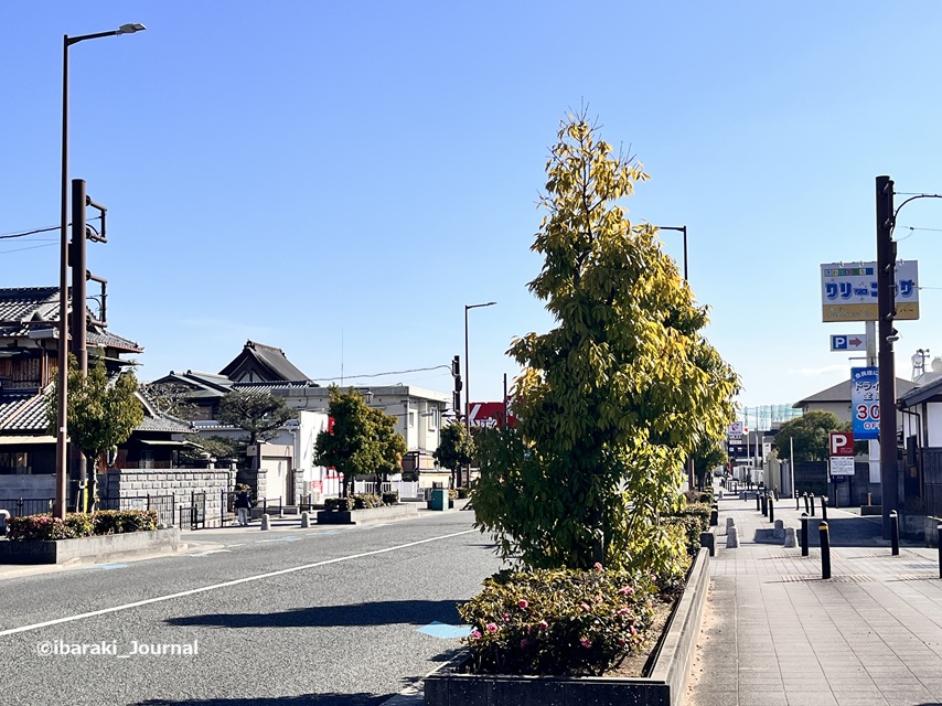 0317モスバーガー茨木鮎川から南のほうIMG_9362