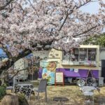 0328お花見マルシェの様子PXL_20230402_005342205