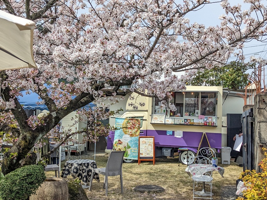 0328お花見マルシェの様子PXL_20230402_005342205