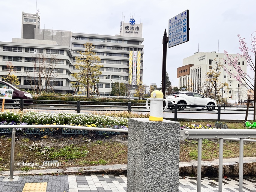 0325元茨木川緑地忘れ物IMG_9539