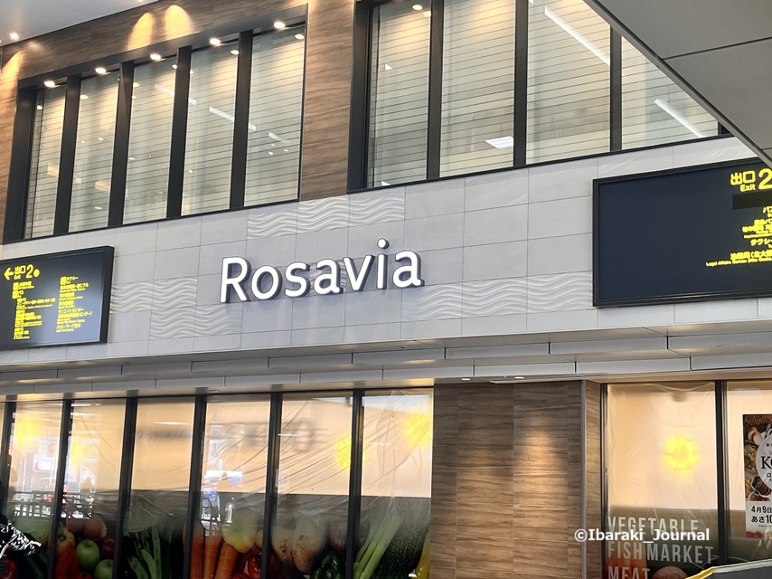 0402ロサヴィアとKOHYOIMG_9742