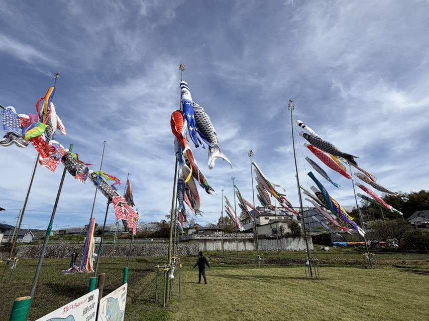 たかまさんから鯉のぼり風景2