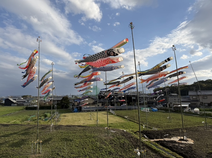 たかまさんから鯉のぼり風景