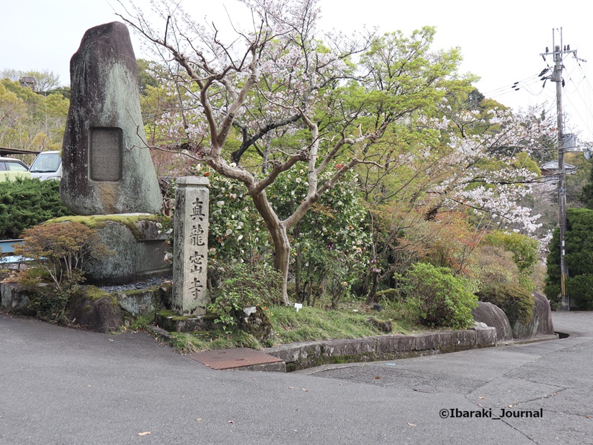 0406真龍寺IMG_1210